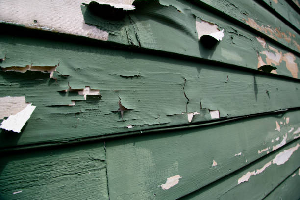 Best Historical Building Siding Restoration  in Culver, IN