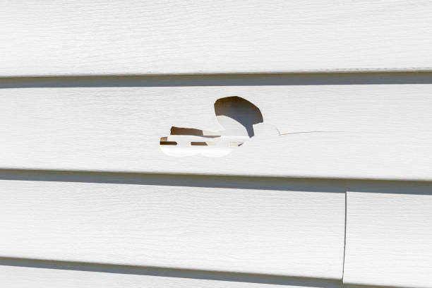 Best Custom Trim and Detailing for Siding  in Culver, IN